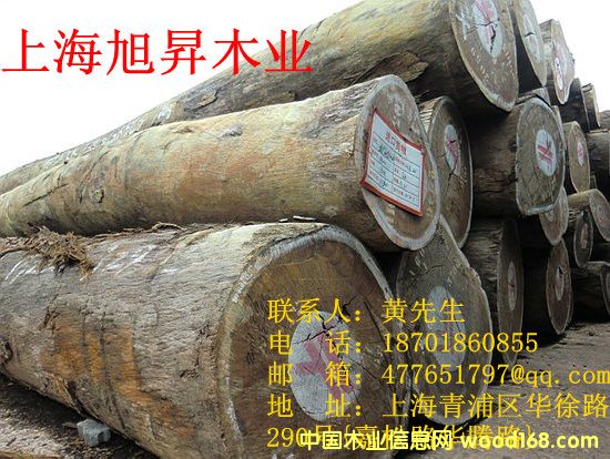 �t�Fľԭľ�ӹ������Ԕ��(x��)��B