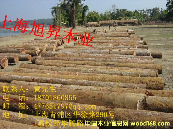 ��¡ľ ԭľ�ӹ������Ԕ��(x��)��B