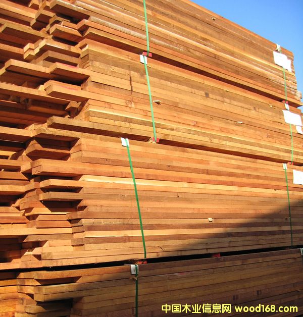 �tѩ�ɵ�Ԕ����B