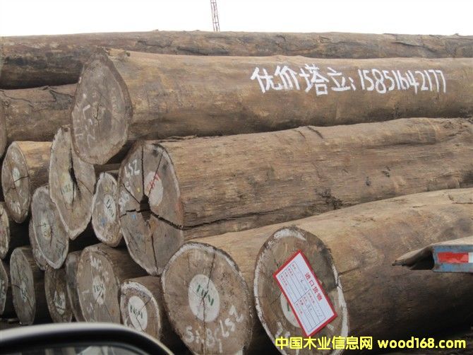 塔立的詳細介紹