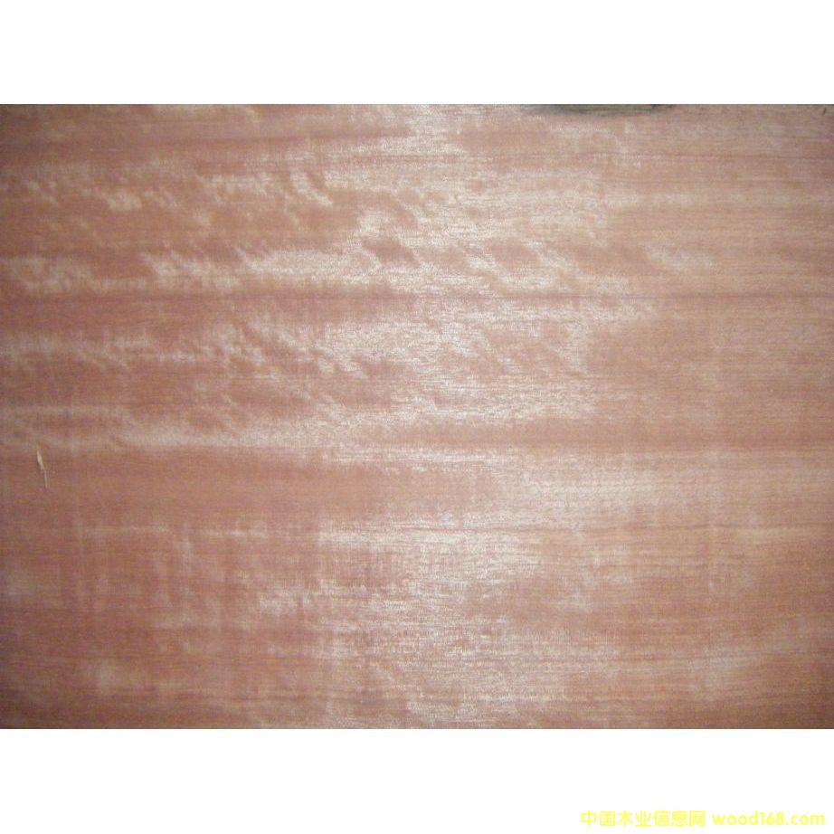 ������ľƤ