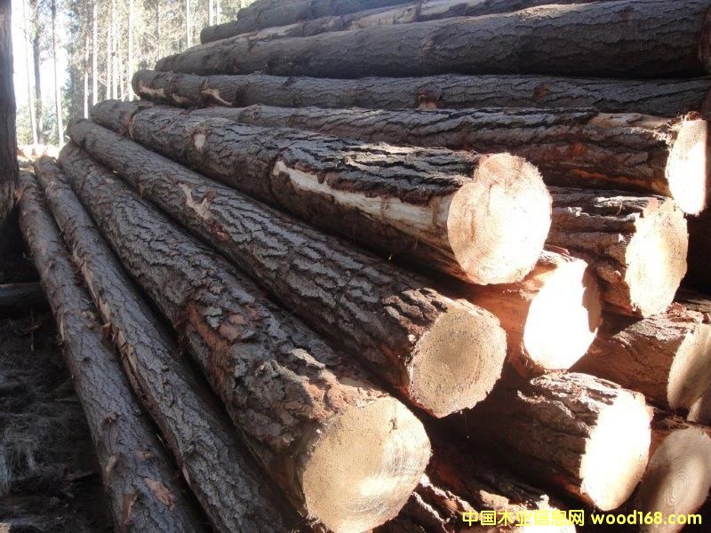 ݗ���ɵ�Ԕ����B