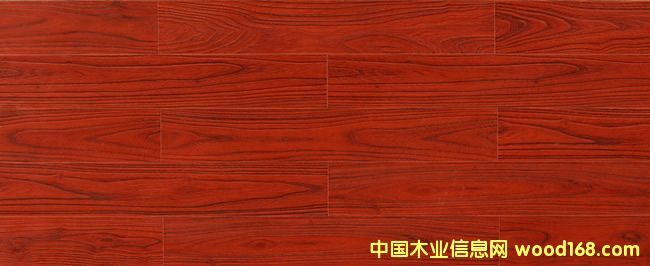 ��(qi��ng)���ذ�T204��¶����