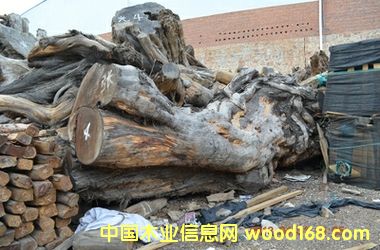 �t��ɼԭ�ϵ�Ԕ��(x��)��B