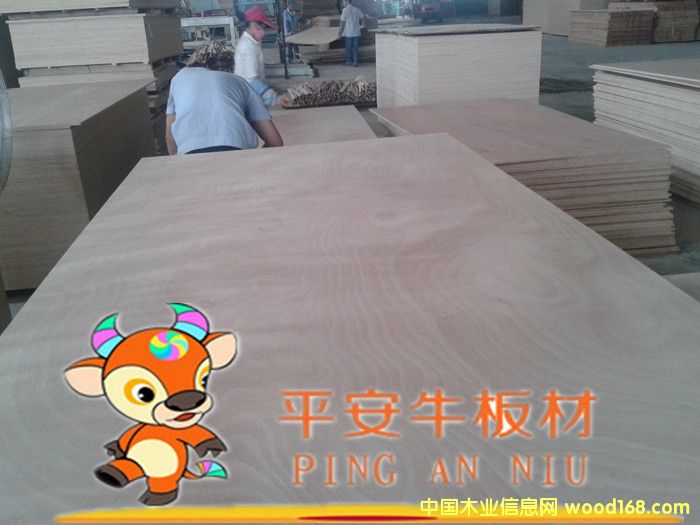 �ߙn�Ҿ߶��Ӱ塢�����z�ϰ�����ľ�N����Ԕ����B