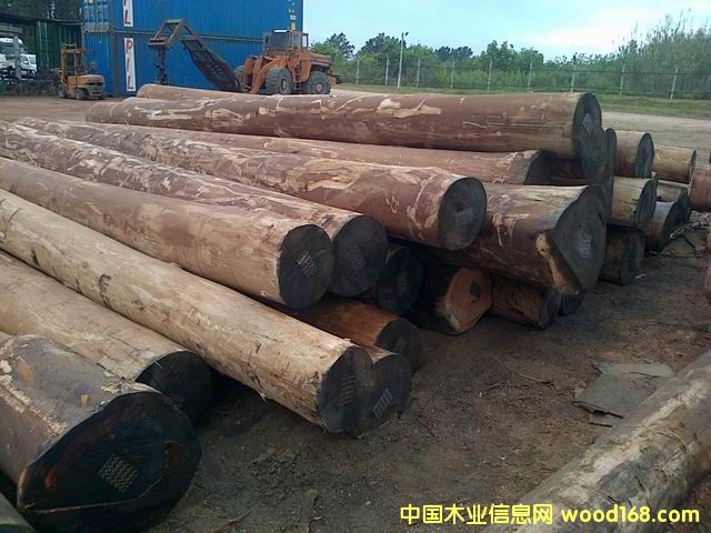 FSC��ľԭľ��Ԕ��(x��)��B