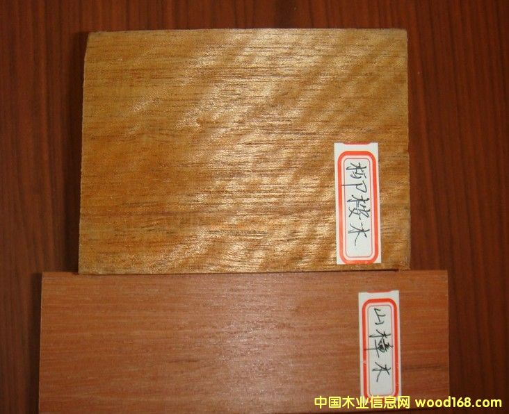 ����ľ��Ԕ��(x��)��B