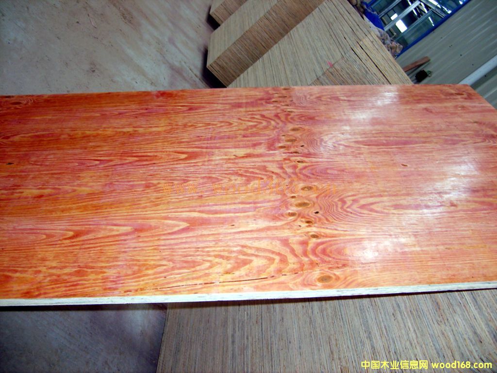 50cmɼľ��;�������������G��