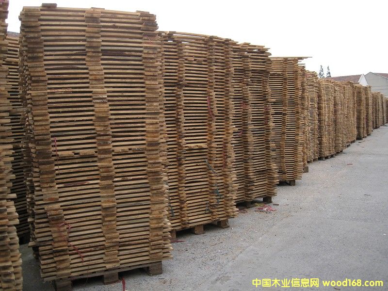 12��Ԕ��(x��)��B