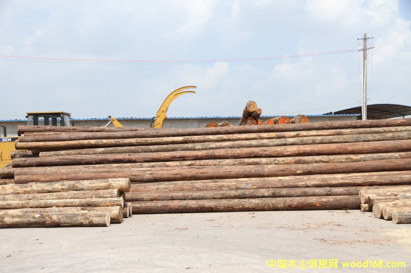 4��Ԕ��(x��)��B