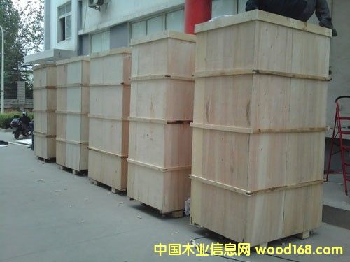 11��Ԕ��(x��)��B