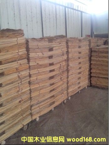 桉木單板的詳細(xì)介紹