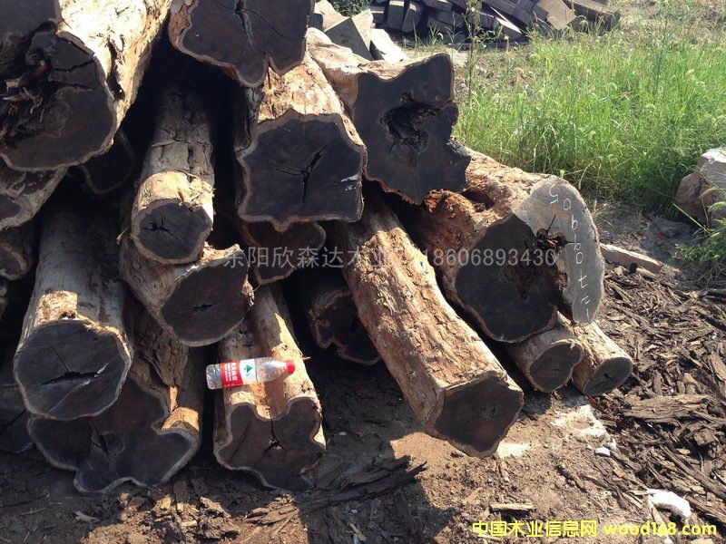 �Ϲ�̴(�|�Ǻ��S̴)1309-3��Ԕ��(x��)��B