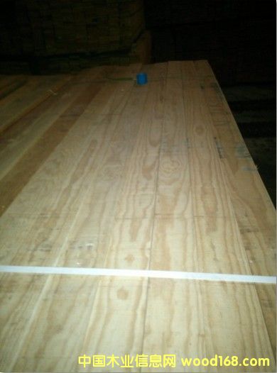 ݗ���ɸߵ�20mm��Ԕ����B