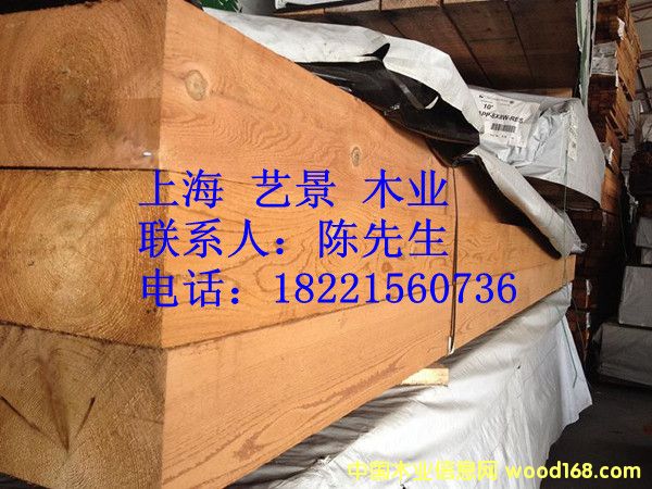 �tѩ�ɵ����c(di��n)������