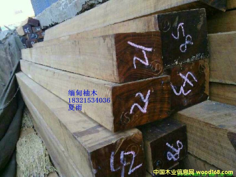 ������ľ��Ԕ��(x��)��B