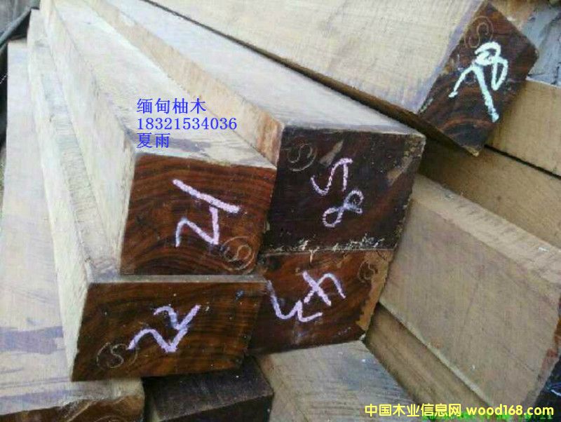 ������ľ��Ԕ��(x��)��B