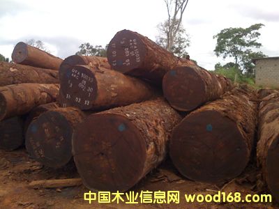 ������Ԕ��(x��)��B