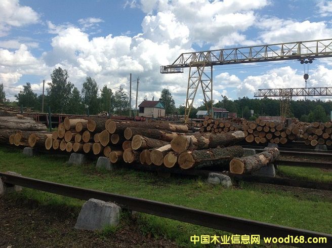 ����(y��ng)����ԭľ