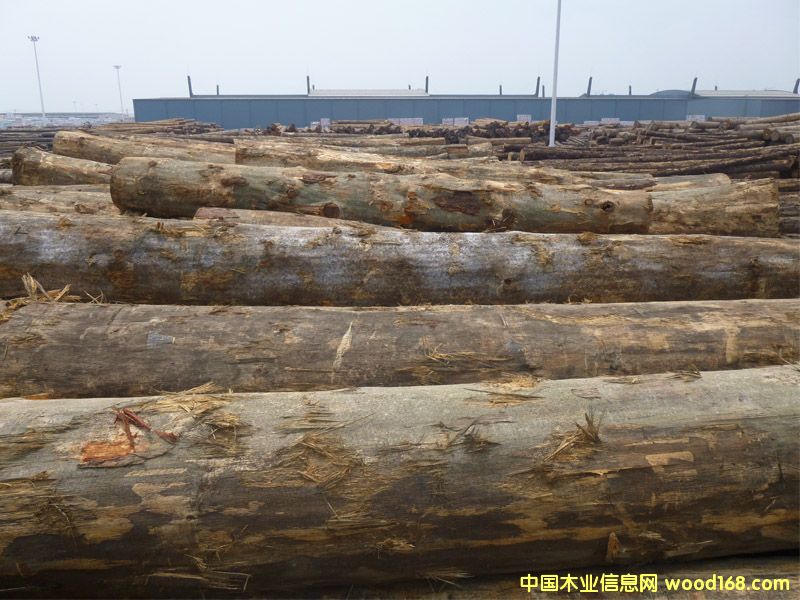 �����ɣ������ģ�