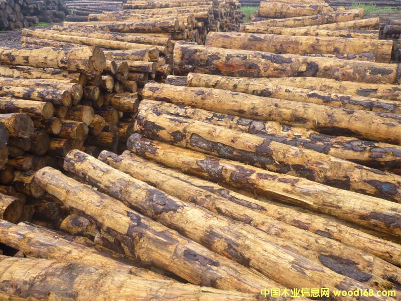 ��ɼ�����ô�