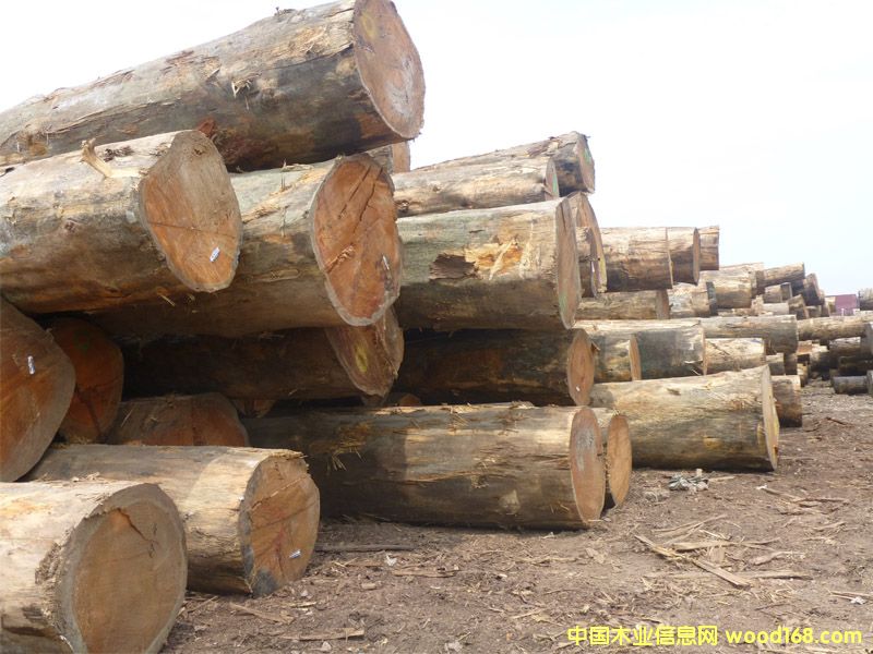 �����ɣ������ģ�