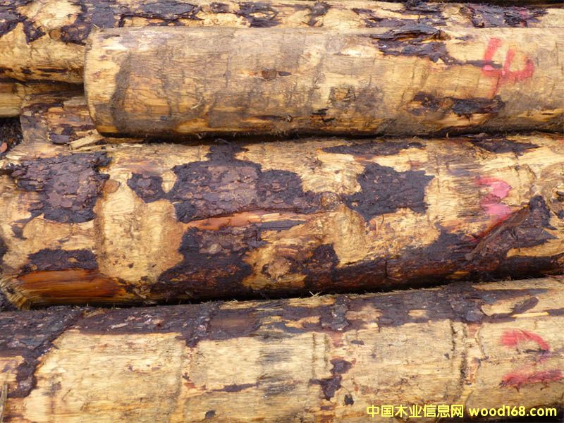 ��ɼ�����ô�