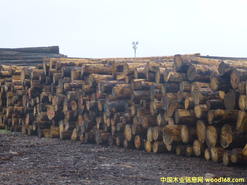 ��ɼ�����ô�