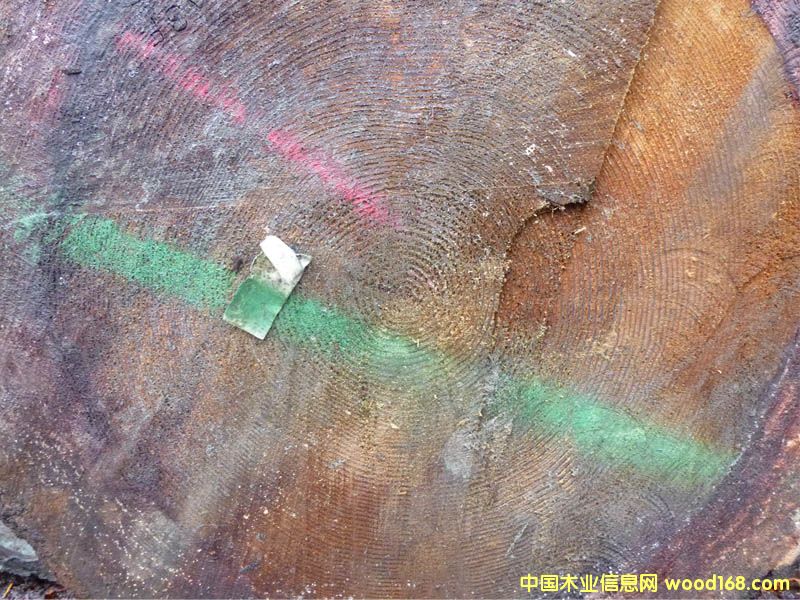 �����ɣ����ô�