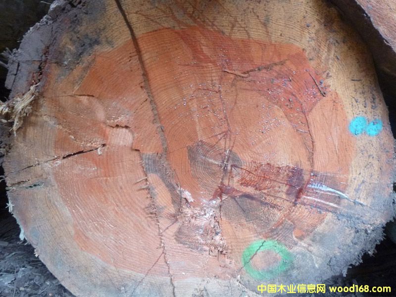 �����ɣ������ģ�