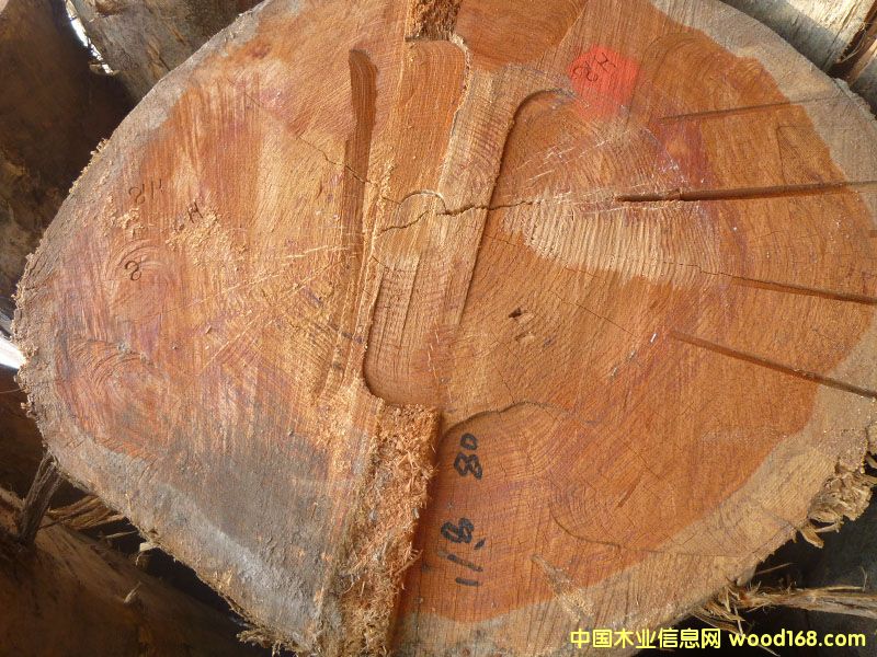 �����ɣ������ģ�