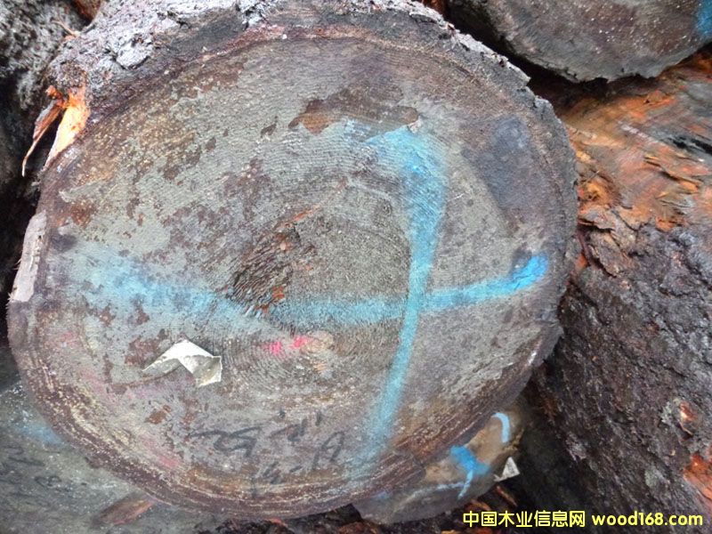 �����ɣ����ô�