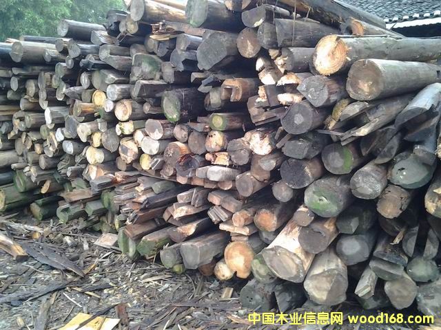 2�������f����������