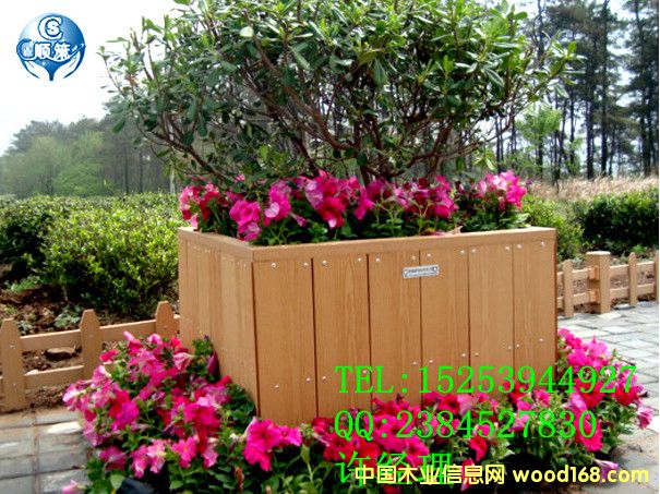 ��ľ���������������^��