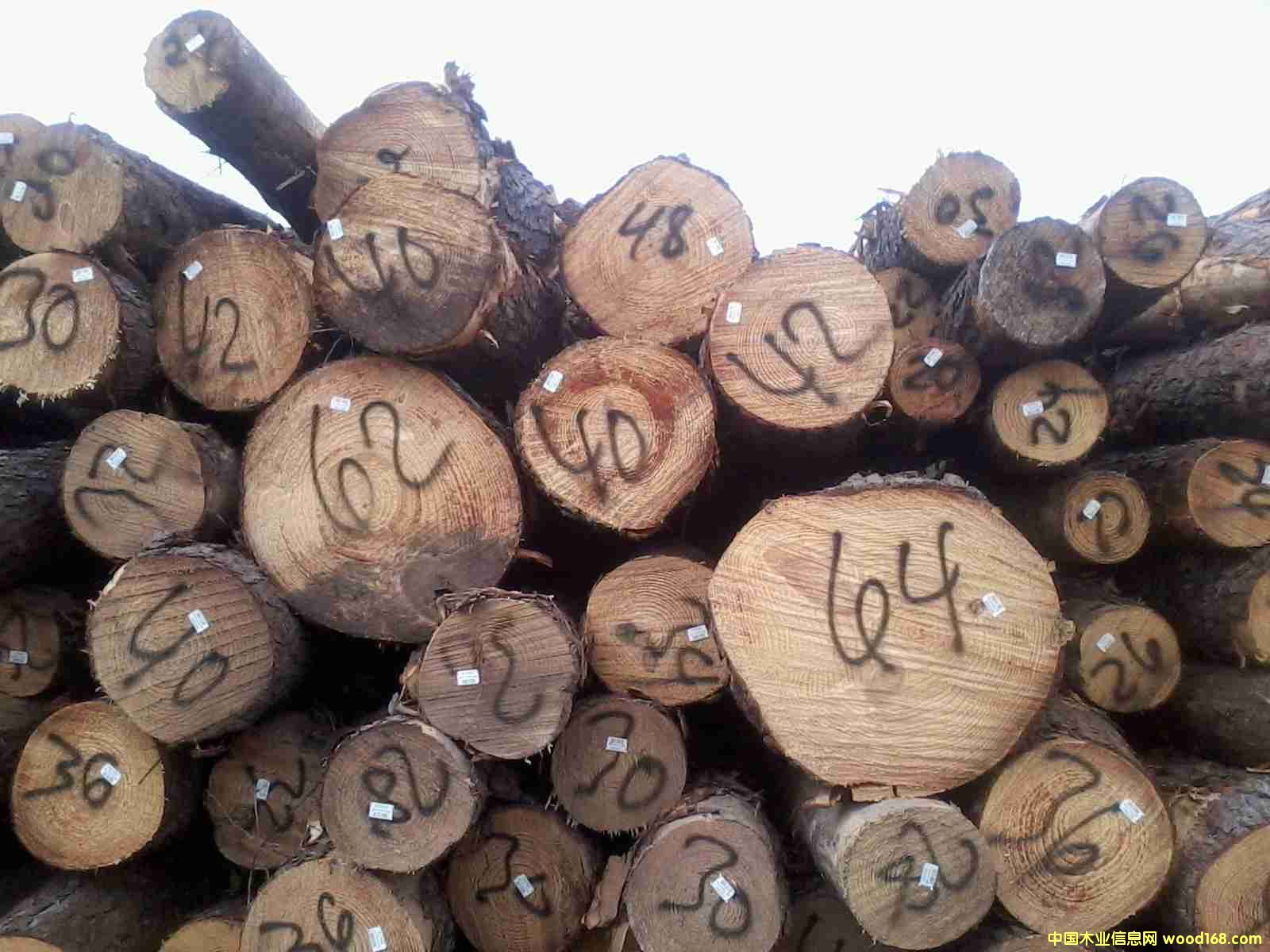 �����Ϸ��ɵ�Ԕ��(x��)��B