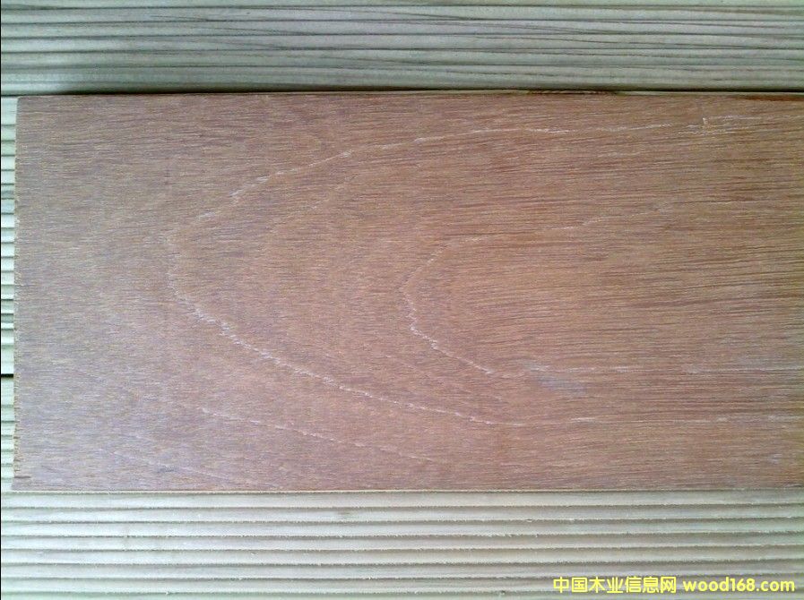 �̈́�ľ��Ԕ��(x��)��B