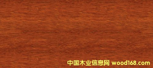 ���}���Ԕ��(x��)��B