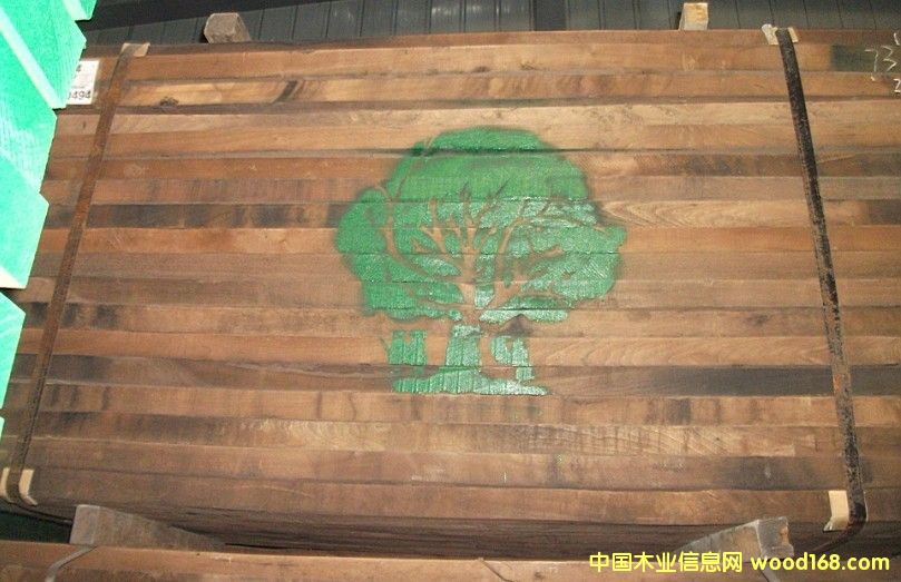 黑胡桃的詳細介紹