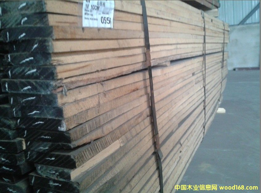 山核桃的詳細介紹