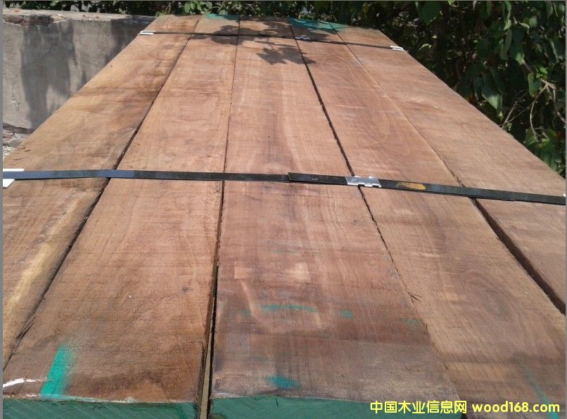 黑胡桃的詳細介紹