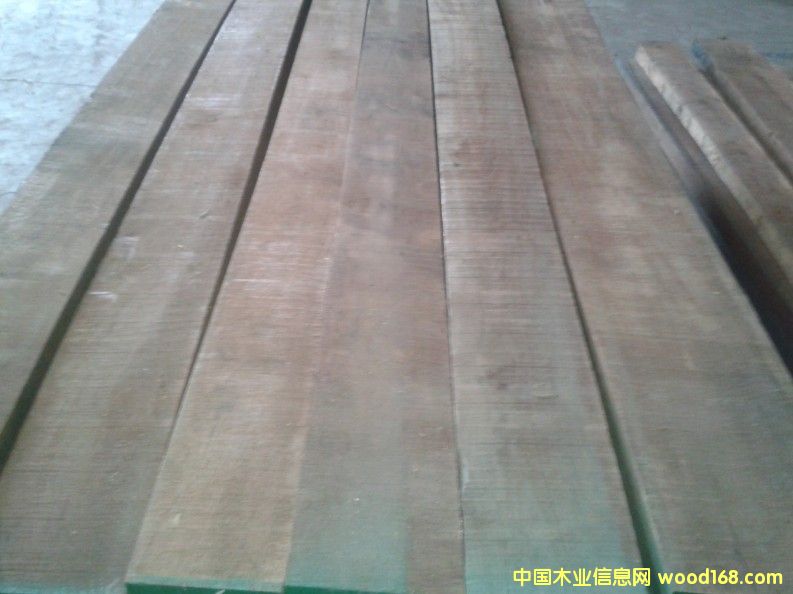 黑胡桃的詳細介紹