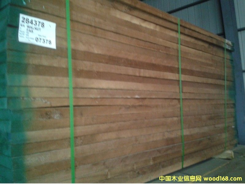 黑胡桃的詳細介紹