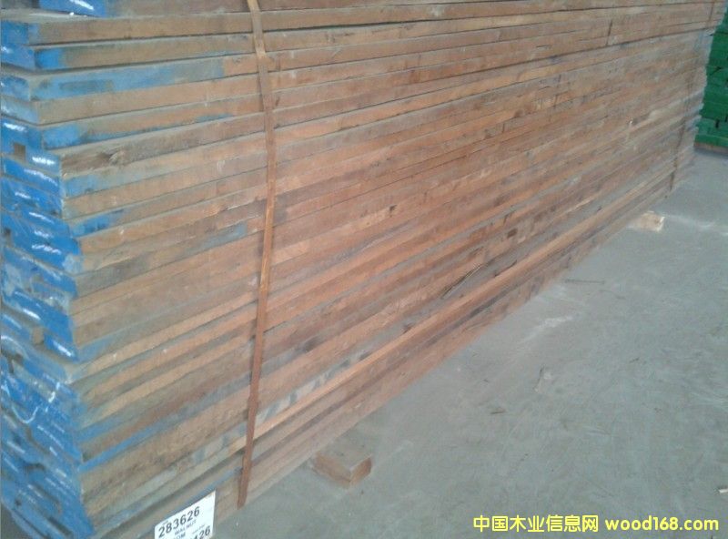 黑胡桃的詳細介紹