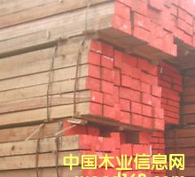 [��] ����(y��ng)�����t�������S����ľ