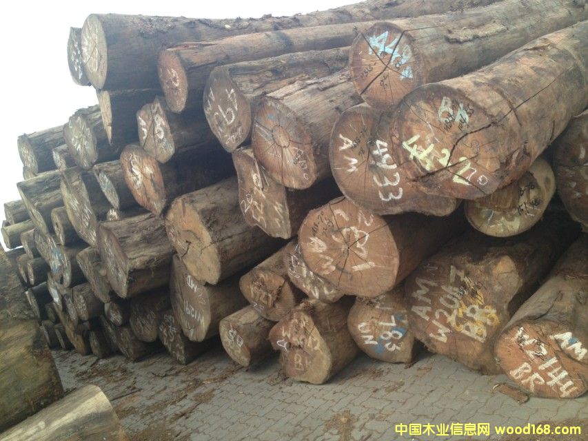 ��Ħ����Ԕ��(x��)��B