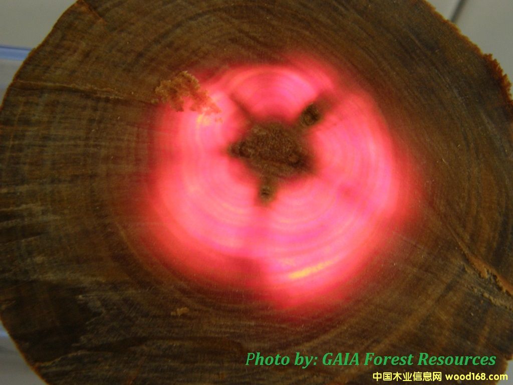 Ѫ��ľ��Ԕ��(x��)��B