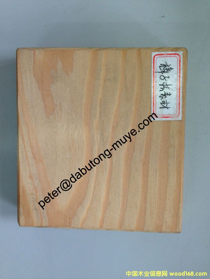 ���_˹������