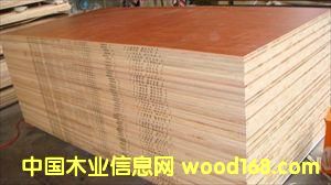 ���B(t��i)�壬���N���е͙n����ľ����