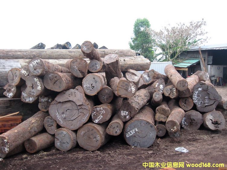 ��̴Ƥ��ԭľ