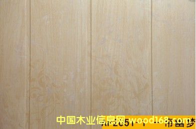 2051-1 һ���ĉ�(m��ng) ƽ��D��Ԕ��(x��)��B